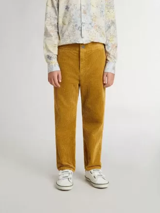 Pantalon chino pour garçon couleur tabac avec broderies