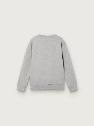 Sweat-shirt à col rond Journey pour garçon en coton gris chiné avec imprimé mascotte
