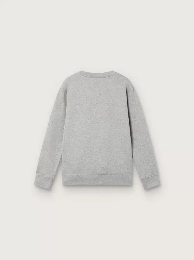 Sweat-shirt à col rond Journey pour garçon en coton gris chiné avec imprimé mascotte